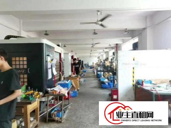  福永和平楼上新出800平方厂房精装修办公出租招租