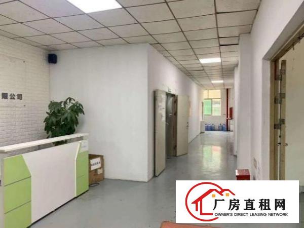  福永新和楼上新出800平方精装修厂房出租