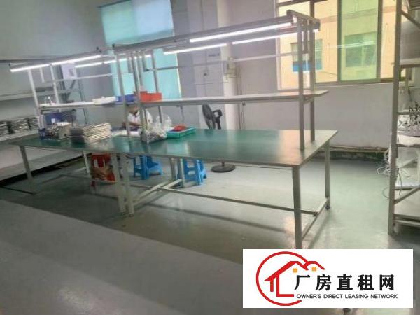  福永新和楼上新出800平方精装修厂房出租