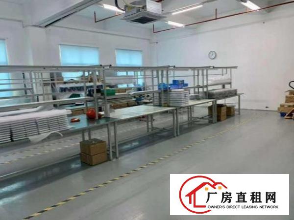  福永新和楼上新出800平方精装修厂房出租