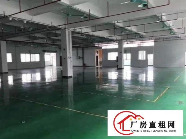  福永兴围一楼厂房800平低价出租，无公摊