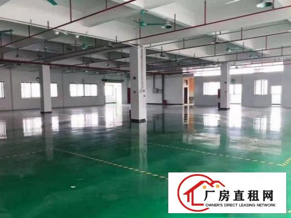  福永兴围一楼厂房800平低价出租，无公摊