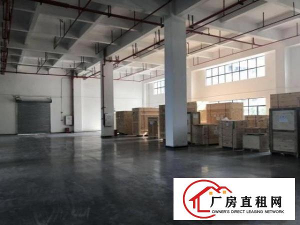  福永桥头村一楼标准厂房出租500平，高6米