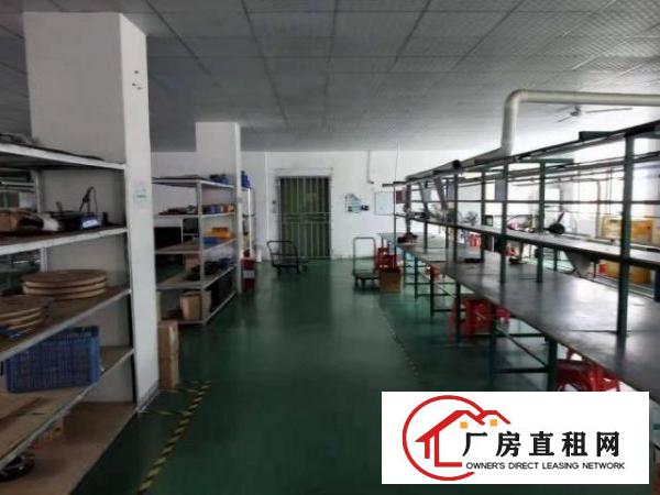  福永白石厦刚空出一楼厂房400平，面积实在，好户型