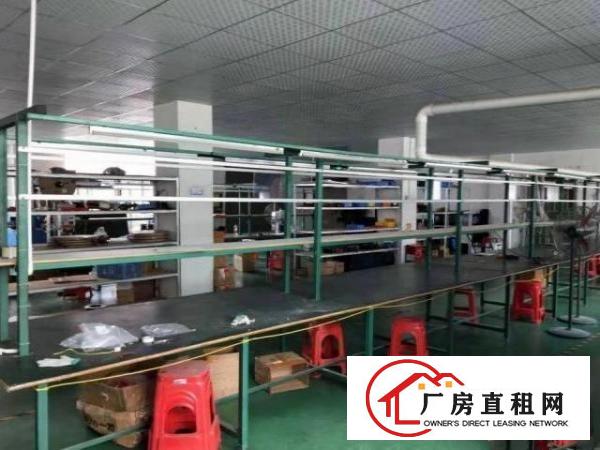  福永白石厦刚空出一楼厂房400平，面积实在，好户型