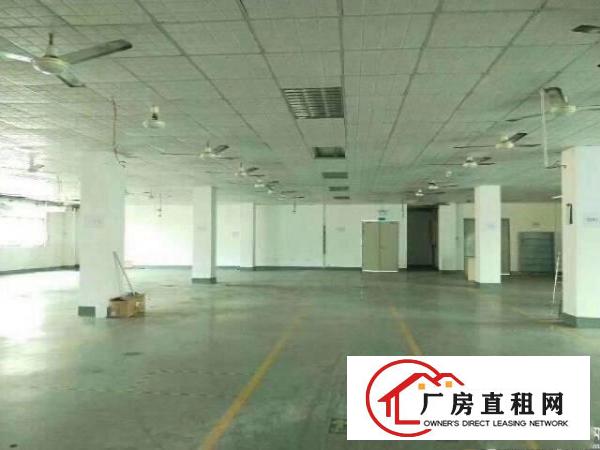  福永新和原房东625平带装修厂房出租