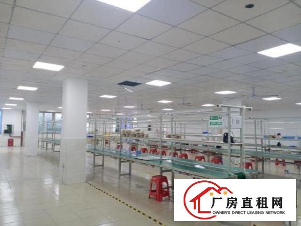  塘尾新出楼上650平精装修厂房
