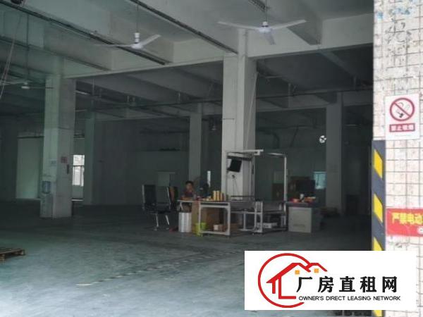  出租宝安福永福园一路厂房出租