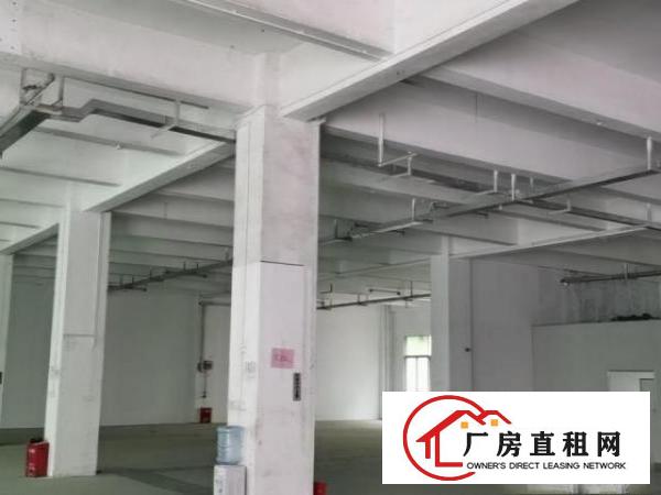  出租宝安福永福园一路厂房出租