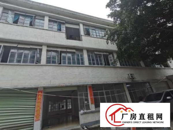  福永厂房招租（独门独院）