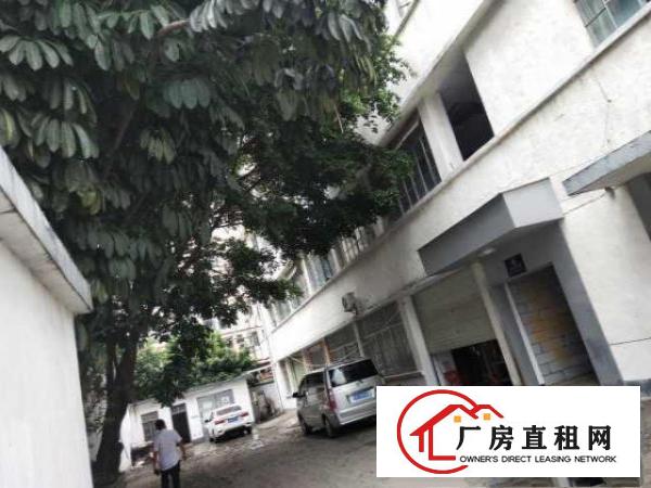  福永厂房招租（独门独院）