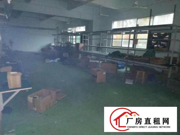  福永塘尾新出厂房仓库出租600平