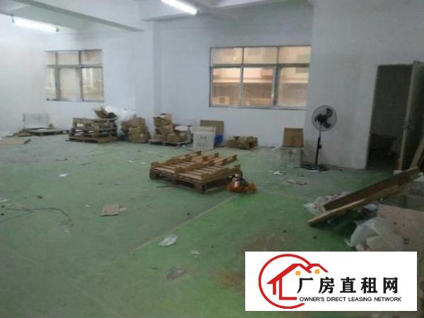  福永塘尾新出厂房仓库出租600平