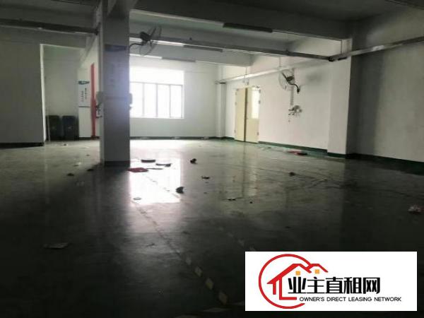  福永凤凰500-2300平厂房招租