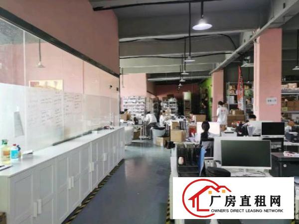  业主红本厂房面积2500平米
