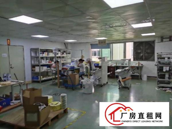  业主红本厂房面积2500平米