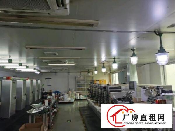  业主红本厂房面积2500平米
