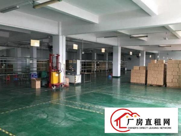  福永白石厦3楼厂房800平招租，办公齐全，装修保留完好