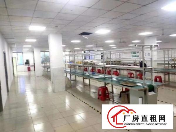 塘尾新出2楼650平，带装修、办公家具、水电齐全。拎包入驻。