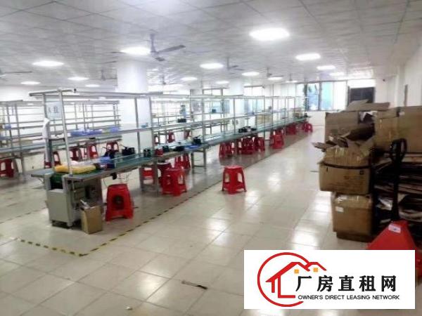  塘尾新出2楼650平，带装修、办公家具、水电齐全。拎包入驻。