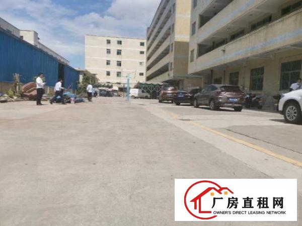  福永和平一楼精装修厂房800平空地大可以分