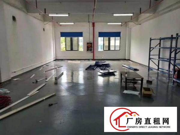  福永大洋田楼上带装修厂房450平