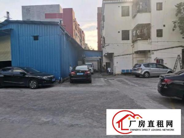  福永白石厦超大空地钢构厂房550平