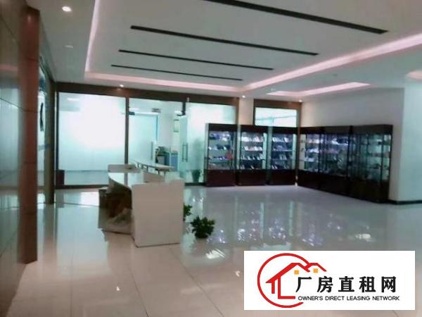  福永新和楼上豪华装修厂房1900平，无转让费