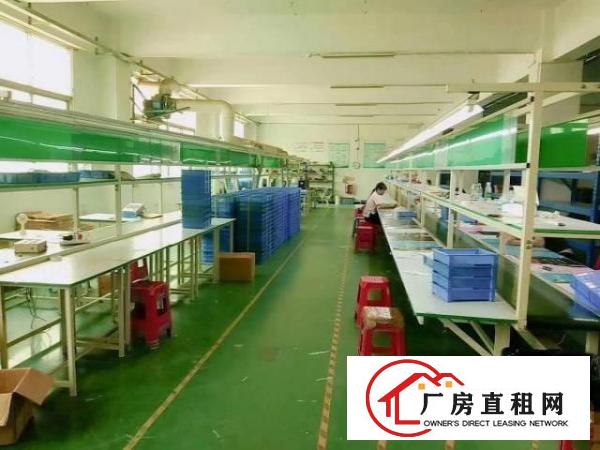  福永新和楼上豪华装修厂房1900平，无转让费