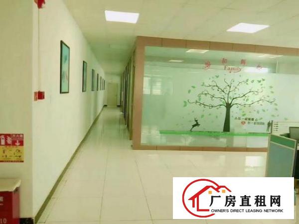  福永新和楼上豪华装修厂房1900平，无转让费