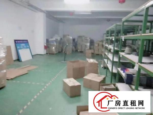  福永新和楼上豪华装修厂房1900平，无转让费