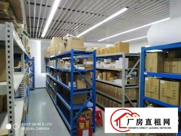  福永和平会展旁楼上豪华装修厂房360平