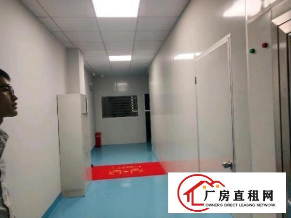  福永新和新出楼上355平方精装修无尘车间厂房出租