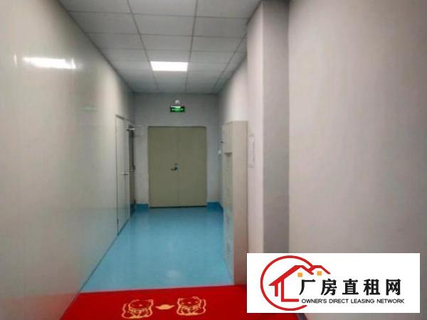  福永新和新出楼上355平方精装修无尘车间厂房出租