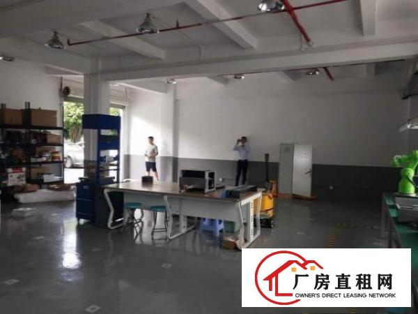  福永凤凰新出一楼仓库220平厂房招租
