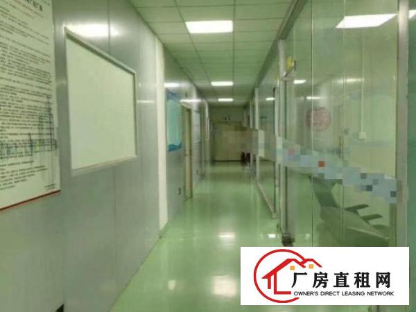  精装修无需转让费，原房东，公摊小，地铁口附近。