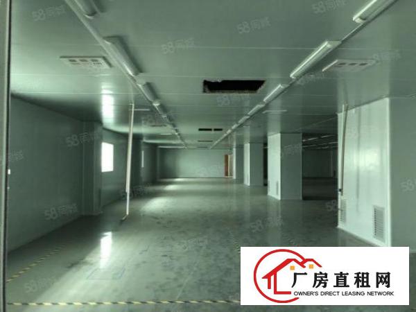  福永2000平米精装修无尘车间出租