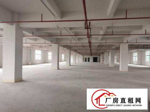  福永福围社区厂房1000平精装办公室厂房出租