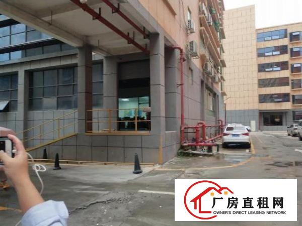  福永塘尾新出一楼320平豪华精装修厂房出租