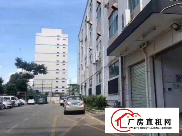  福永新出楼上430平厂房招租出租