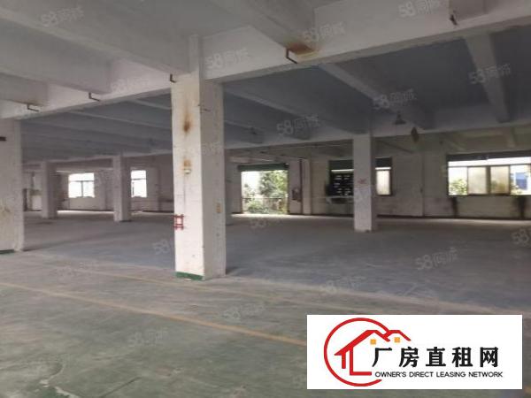  福永凤凰厂房出租二楼2300平方米带装修福永厂房出租
