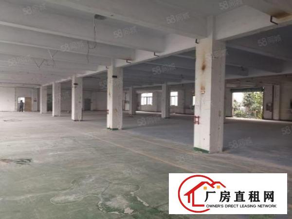  福永凤凰厂房出租二楼2300平方米带装修福永厂房出租