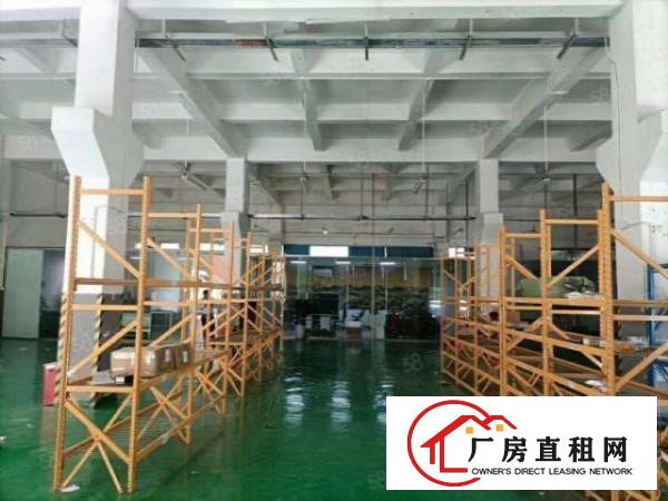  福永和平带牛角一楼1000平精装厂房出租