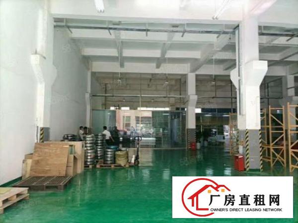  福永和平带牛角一楼1000平精装厂房出租