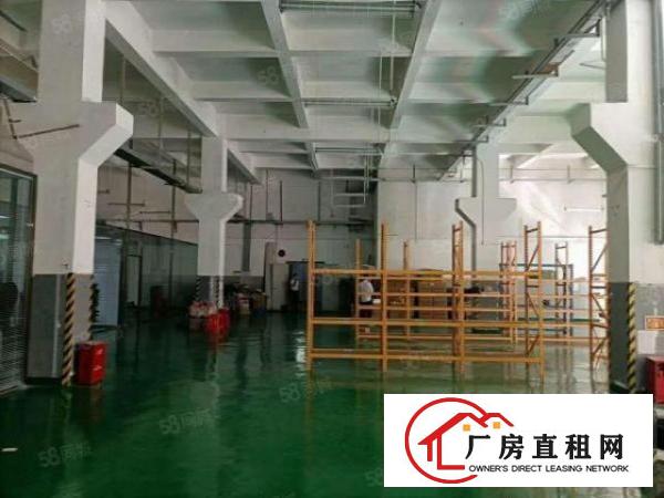  福永和平带牛角一楼1000平精装厂房出租