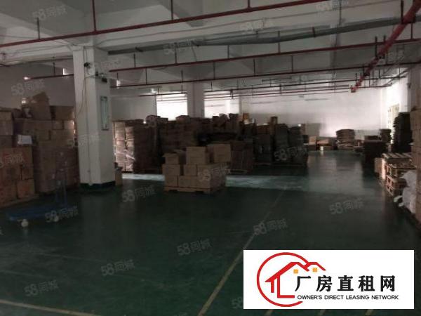  福永107国道5200平米独门独院厂房出租。原房东可分租