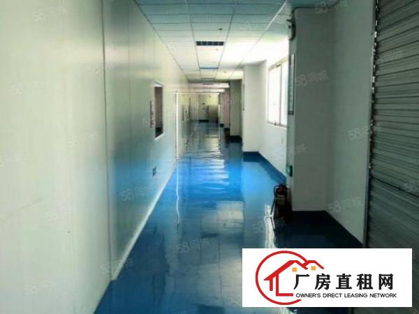  福永凤凰楼上2100平方带十万级无尘车间装修出租
