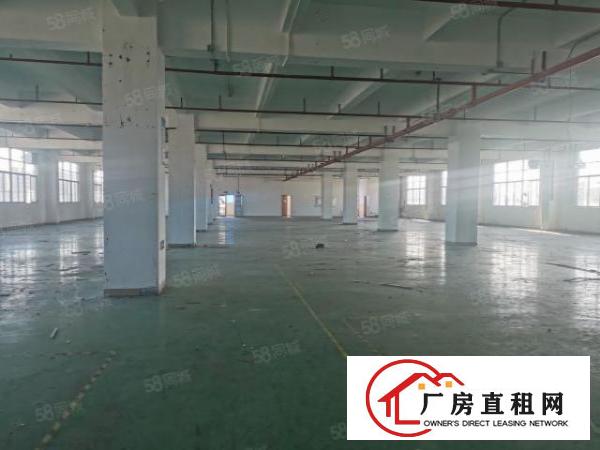  福永会展中心1900平原房东精装低于市场价出租