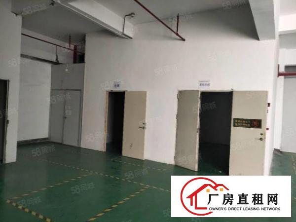  福永凤凰楼上新出带装修800平方厂房出租