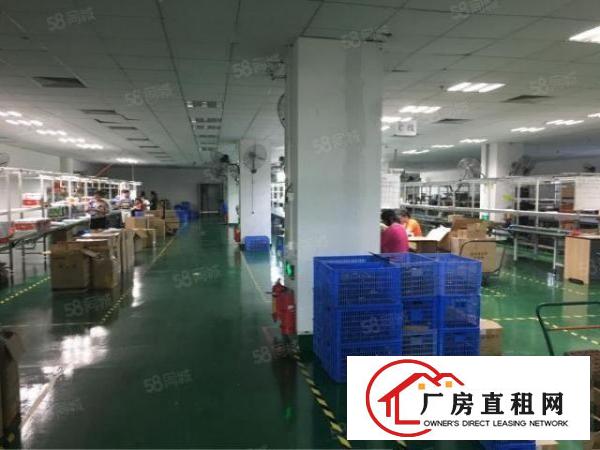  福永凤凰新出原房东5000独门独院精装修厂房出租